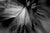 No. 6908 is a limited-edition photographic work by Chris Delmar. The image originates in a constructed optical event...