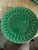1990s Vintage the Haldon Group Green Majolica Relief Cup & Saucer Set for 8 For Sale - Image 5 of 8