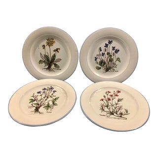 Italian Ceramiche Floral Decorative Plates (Set of 4) For Sale