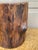 Early 20th Century Early 20th Century Hand Carved Rustic Trompe l'Oeil Faux Bois Log Planter For Sale - Image 5 of 10