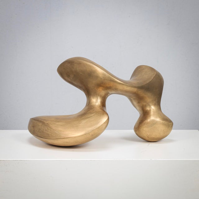 Felix Van de Beek, Abstract Biomorphic Sculpture, 21st Century, Bronze For Sale - Image 6 of 10