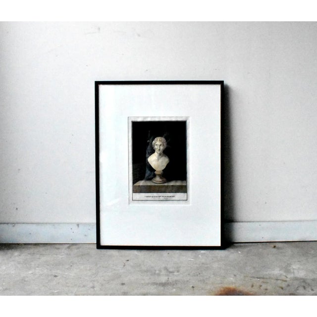 Renaissance Antique Greek Bust Sculpture Engravings by Nicolas Vanni - a Pair For Sale - Image 3 of 13