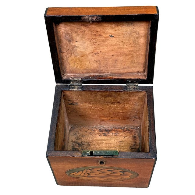 Georgian Satinwood Tea Caddy Butterfly Inlay, 1790 For Sale - Image 6 of 13