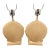 1960s Royal Haegar Mid-Century Modern Shell Lamp - a Pair For Sale
