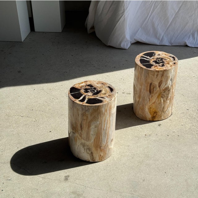 Petrified Wood Side Table For Sale - Image 16 of 18
