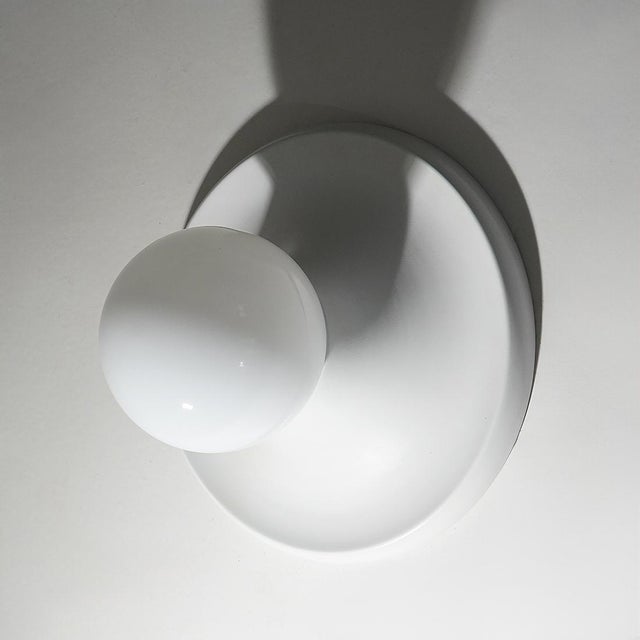 Flos Light Ball Ceiling Light by the Castiglioni Brothers for Flos, 1960s For Sale - Image 4 of 13