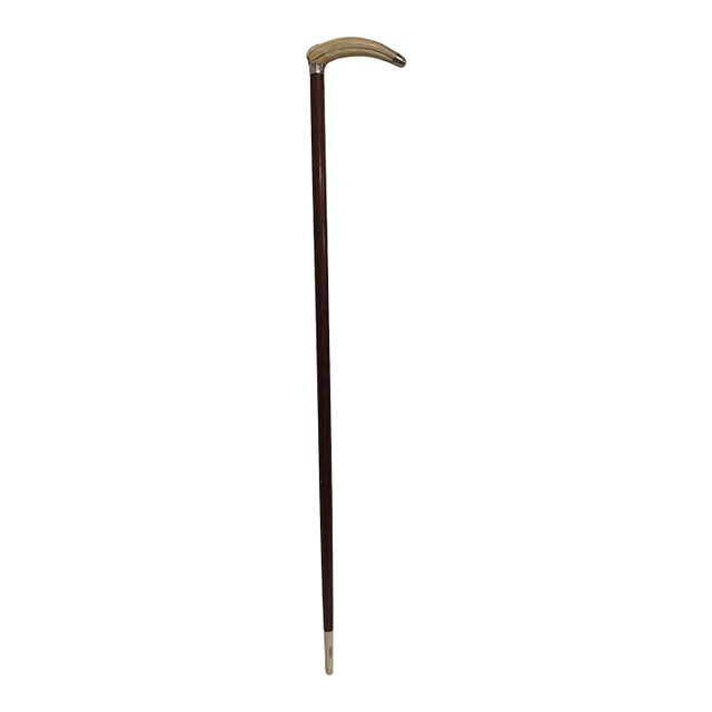 Antique Cane With Bone & Sterling Handle For Sale