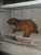 Cast Iron Bear With Rusty Finish For Sale - Image 13 of 13