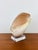 Vintage Large Crowned Baler Sea Snail Shell on Lucite Base For Sale In Palm Springs - Image 6 of 7