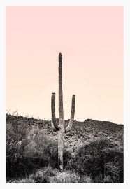 Example of New & Custom Southwestern