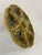 1950s French Gien Majolica Olive Green Oyster Plate For Sale - Image 9 of 15