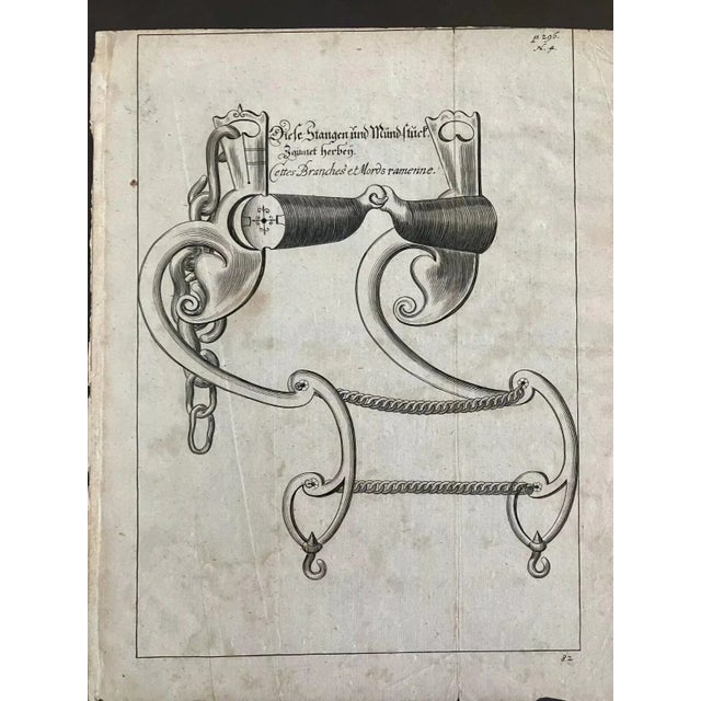Framed 1700 Equestrian Engraving by William Cavendish After Van Diepenbeeck Euc For Sale - Image 4 of 5