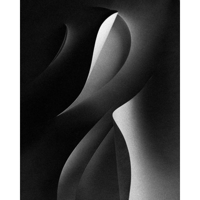 Paper cut' London, United Kingdom 2021 Limited edition of 10. Printed on fine art heavy-weight paper. The photograph comes...