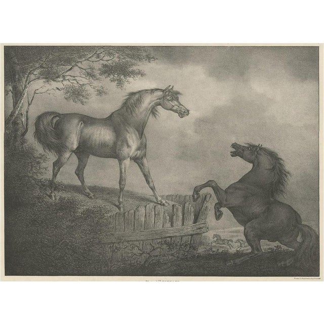 Early 19th Century Horse Showing the Passion Courage, 1827, Paper For Sale - Image 5 of 5