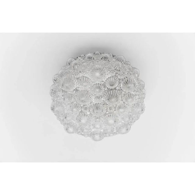 Metal Mid-Century Modern Round 3D Fossil Shell Shape Flush Mount, 1960s For Sale - Image 7 of 9