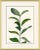 Contemporary Sea Greens Framed Art Print by Susan Hable For Sale - Image 3 of 3