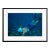 Toni Frissell 'Speargun Fishing in Antigua' Archival Pigment Print Framed in Black For Sale