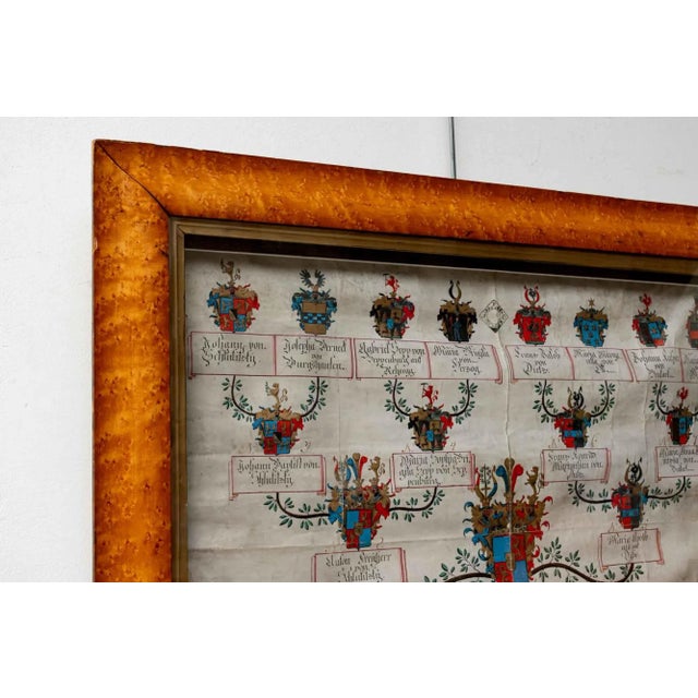 Antique German Glass Framed Heraldic History, 1800s For Sale - Image 5 of 8