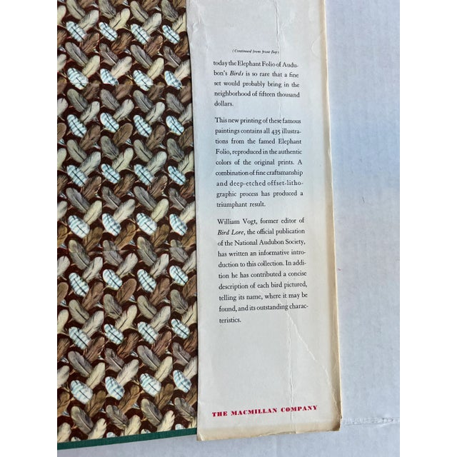 The Birds of America by John James Audubon, 1961, 3rd Print For Sale - Image 11 of 12