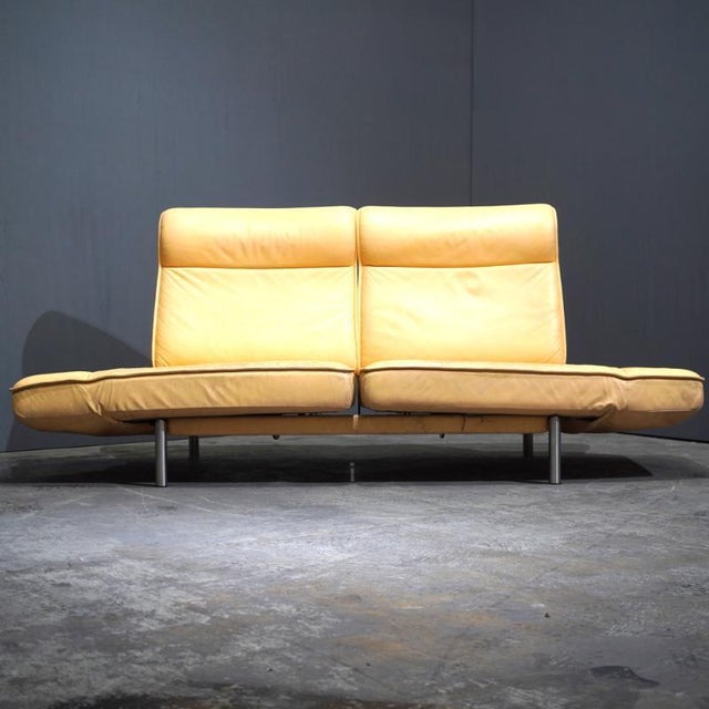 Animal Skin DS-450 Sofa attributed to de Sede For Sale - Image 7 of 8
