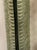 Early 21st Century Pair of Modern Murano Large Green Leaf Sconces For Sale - Image 5 of 8