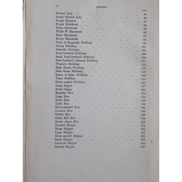 Antique 19th Century Hand Colored Butterfly Lithographs - Set of 10 For Sale - Image 10 of 12