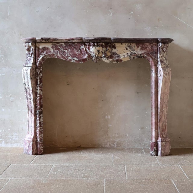 Antique Marble Trois Coquilles Fireplace in Violet de Villette For Sale - Image 18 of 18