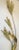 Brutalist Vintage Jere Style Brutalist Botanical Wall Art For Sale - Image 3 of 9