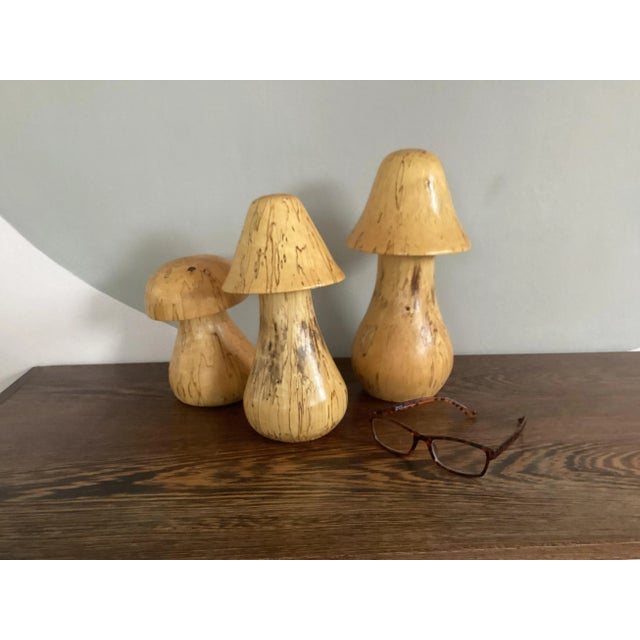 Mushrooms Figures in Burl Walnut, 1960, Set of 3 For Sale - Image 5 of 7