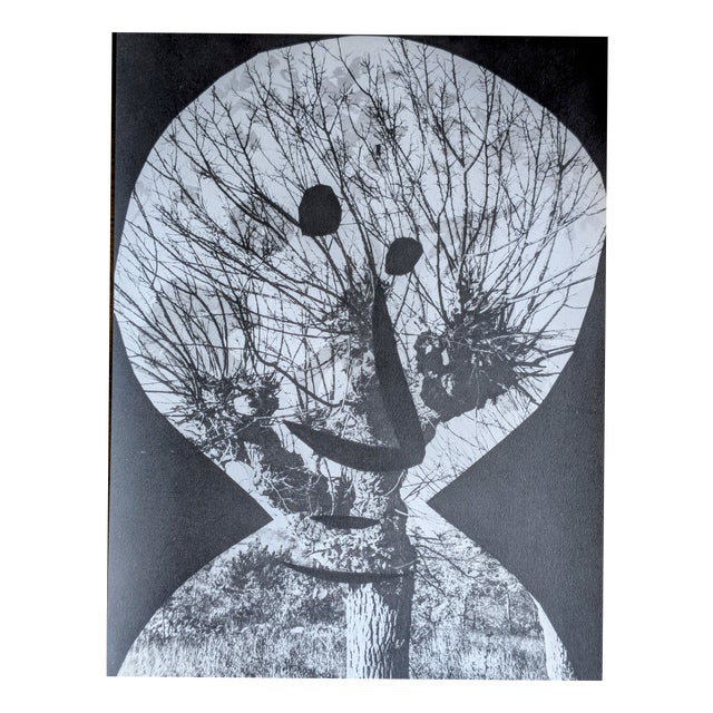 Pablo Picasso, Diurnes, Original Photoengraving, 1962 For Sale