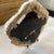 Live Edge Petrified Wood D For Sale In Atlanta - Image 6 of 11