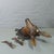 Wood Large Naturalistic Black Forest Carved Deer Head, Ca. 1930s For Sale - Image 7 of 8