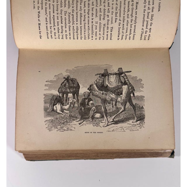 Buried Cities Recovered, Explorations in Bible Lands by Frank S. DeHass c.1883 For Sale - Image 9 of 18