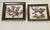 Contemporary 1970s Florida Brown SeaWeed Sargassum Herbarium a Pair Framed For Sale - Image 3 of 9