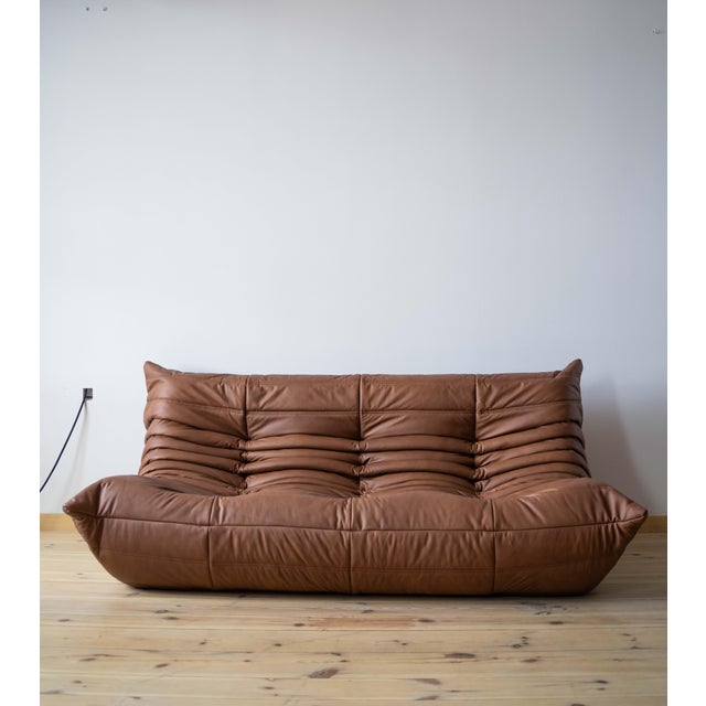 Brown Leather Togo Living Room Set by Michel Ducaroy for Ligne Roset, Set of 5 For Sale - Image 17 of 18