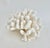 Natural Pacific Elk Coral Coastal Home Decor For Sale - Image 4 of 8