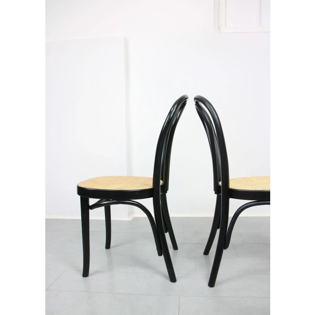 Bentwood No. 218 Chairs, Set of 2 For Sale - Image 6 of 18