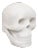 20th Century Marble Skull Decorative Ornament For Sale