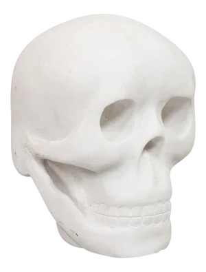 20th Century Marble Skull Decorative Ornament