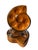This is a charming set of six vintage honey amber / caramel glazed escargot plates. Each dish features six raised rounded...