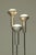 1950s Model 1073/3 Floor Lamps by Gino Sarfatti for Arteluce, 1950s, Set of 3 For Sale - Image 5 of 12
