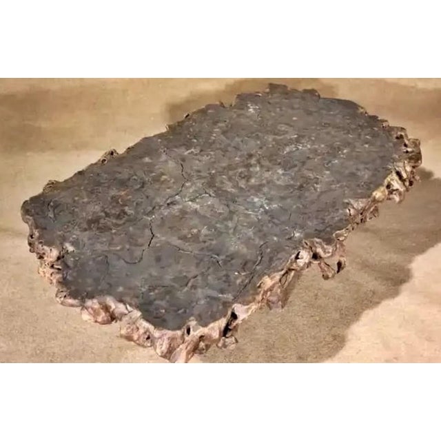 Rustic Root Wood Coffee Table For Sale - Image 3 of 5