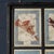 1950s 20th Century Italian Large Oak Frame with Pressed Flowers and Herbs, 1950s For Sale - Image 5 of 15