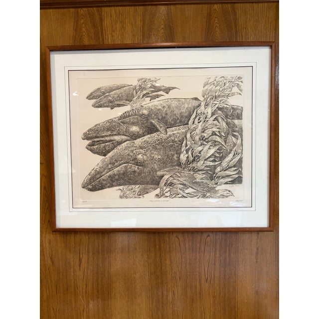 Coastal j.d. Mayhew Gray Whales and Kelp 1983 Limited Edition Etching Print, Signed and Numbered For Sale - Image 3 of 10