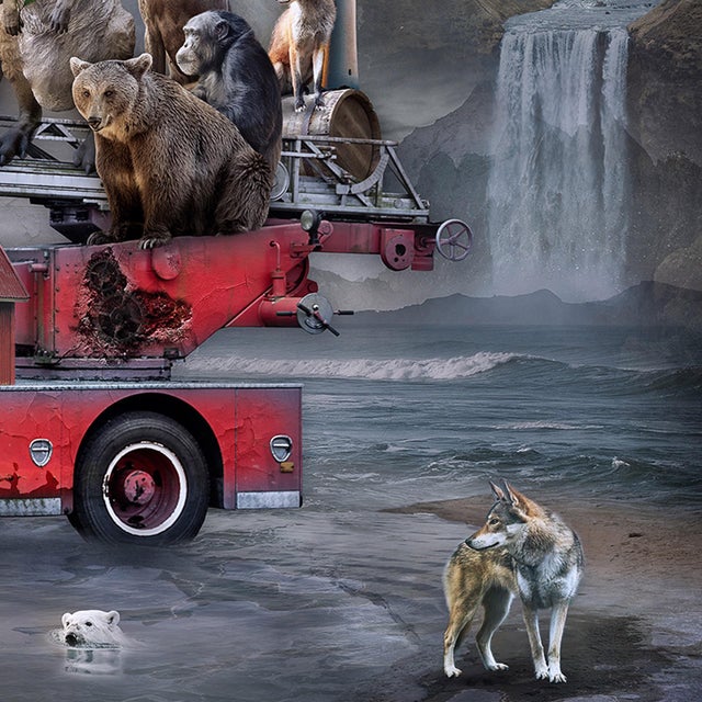 2010s To the Rescue by Marcin Owczarek | Photography on Fine Art Hahnemühle Fire truck with animals For Sale - Image 5 of 5