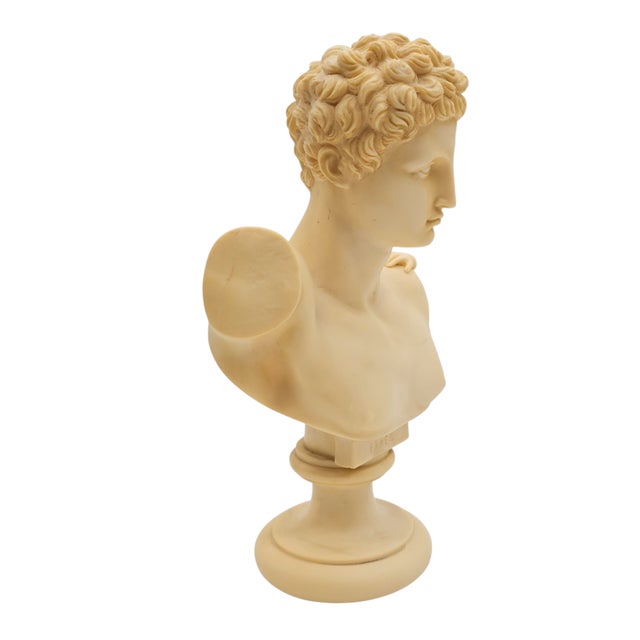Traditional Italian G. Ruggeri Hermes & Dionysos Classical Bust Sculpture – Greek Revival Décor For Sale - Image 3 of 9