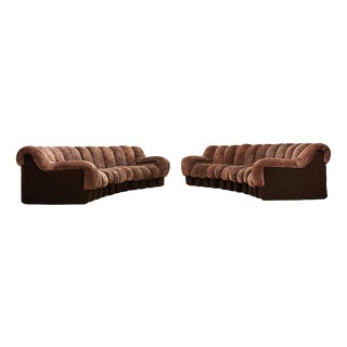 DS-600 Snake Sofa by Ueli Berger for de Sede, Switzerland, 1970s, Set of 22 For Sale