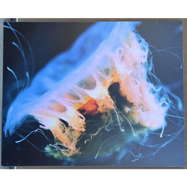 This one of a kind Diva Zappa (Frank Zappa's youngest daughter) photograph on Board was sold at Julien's Auction "The...