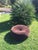 1960s Large Vintage Pouf, 1960s For Sale - Image 5 of 16