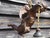 Metal Antique French Cherub Pendant Light in Flying Putti and Glass Flower Shades, 1920s For Sale - Image 7 of 18